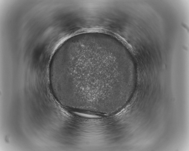 X0000095511174200712281431