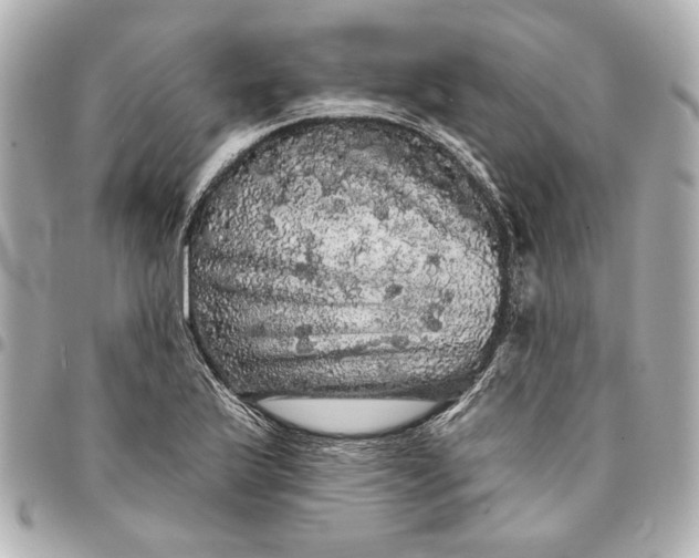 X0000095511175200712281431