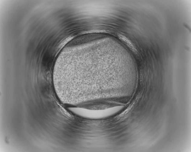 X0000095511177200712281431