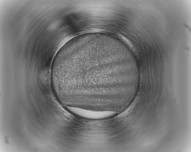 X0000095511178200712281431