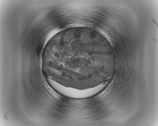 X0000095511179200712281431