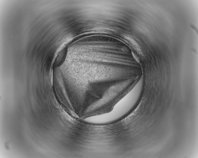 X0000095511180200712281431