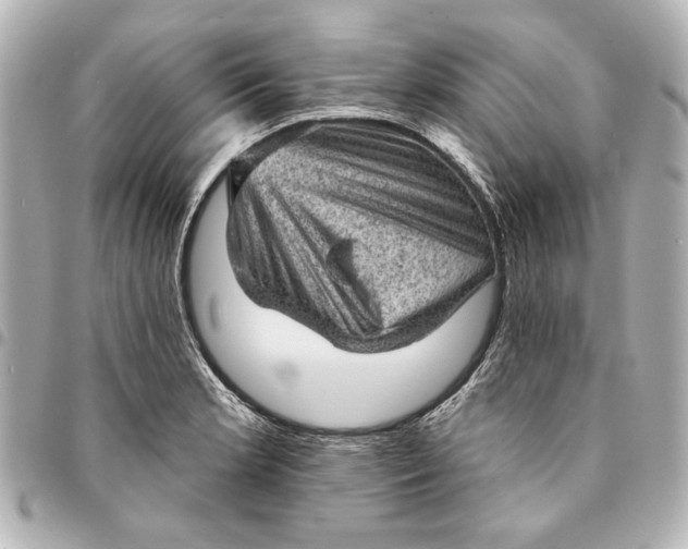 X0000095511181200712281431
