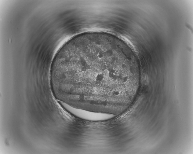 X0000095511183200712281431