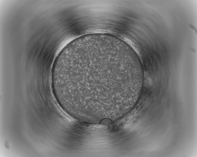 X0000095511187200712281431