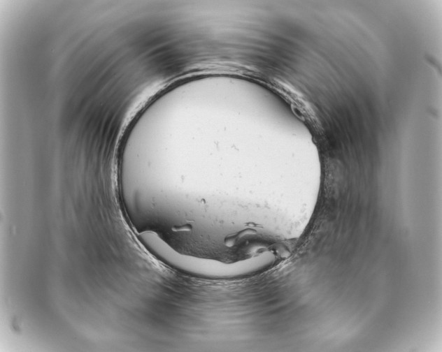 X0000095511188200712281431