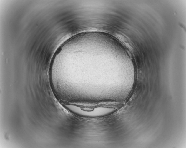 X0000095511189200712281431