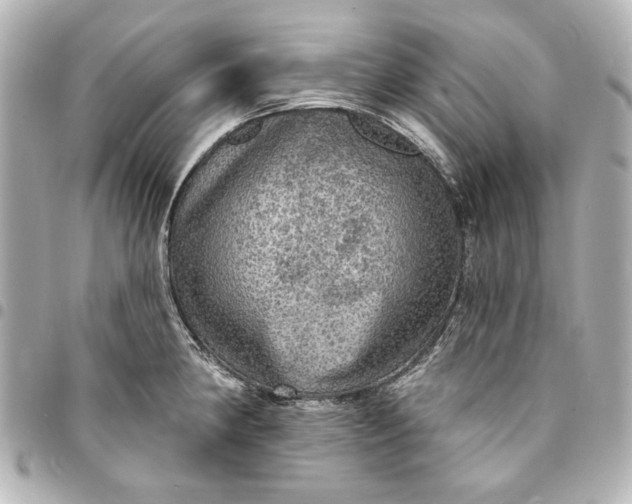 X0000095511190200712281431