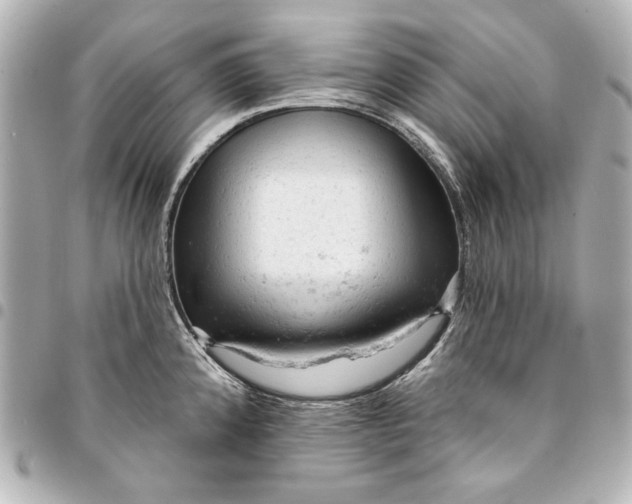 X0000095511192200712281431