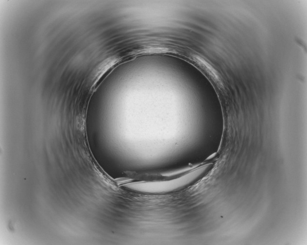 X0000095511193200712281431