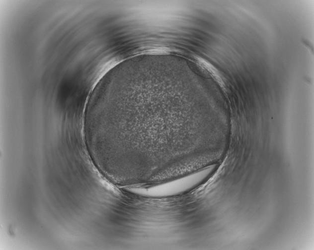 X0000095511194200712281431