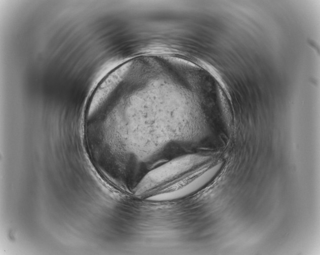 X0000095511195200712281431