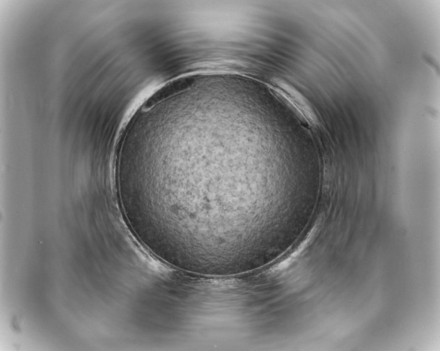 X0000095511196200712281431