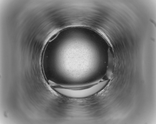 X0000095511197200712281431