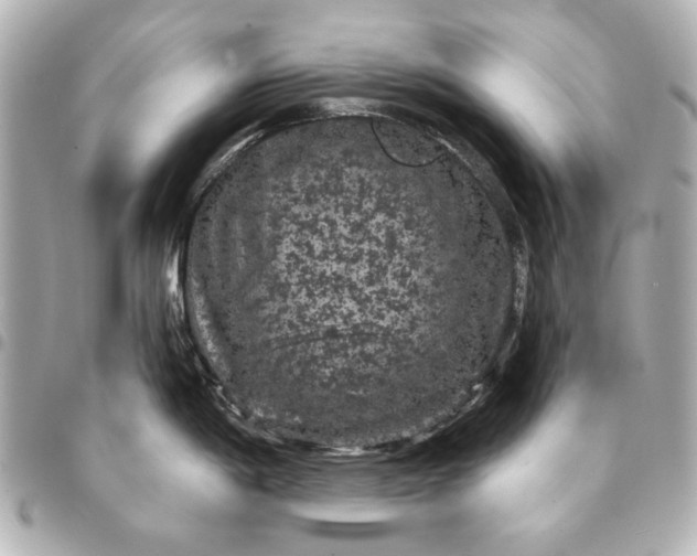 X0000095511198200712281431