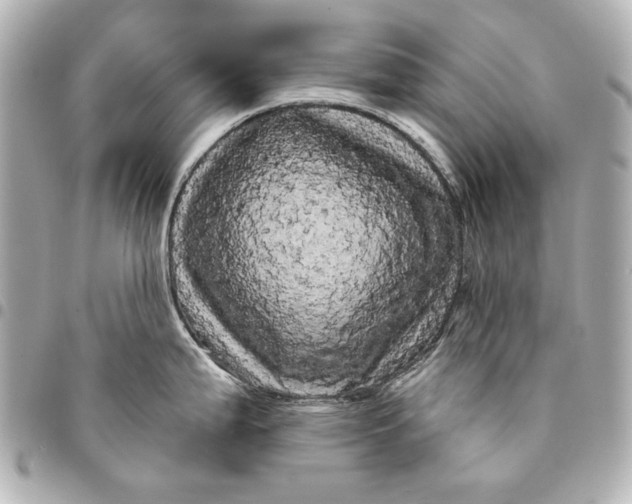 X0000095511199200712281431