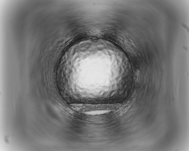 X0000095511201200712281430