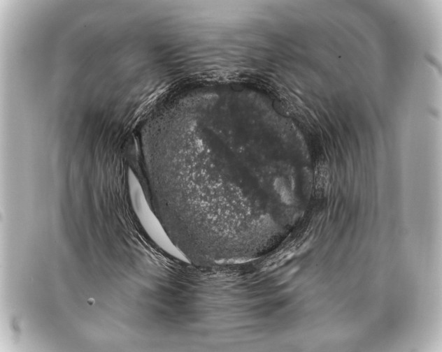 X0000095511202200712281430