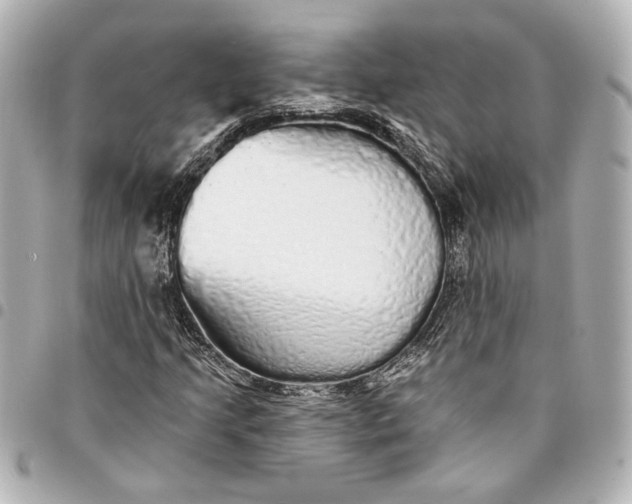 X0000095511205200712281430