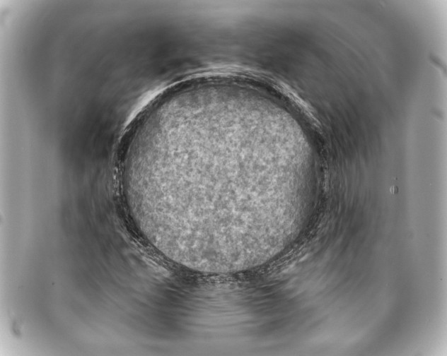 X0000095511208200712281430