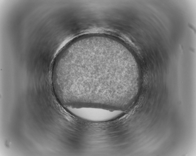 X0000095511216200712281430