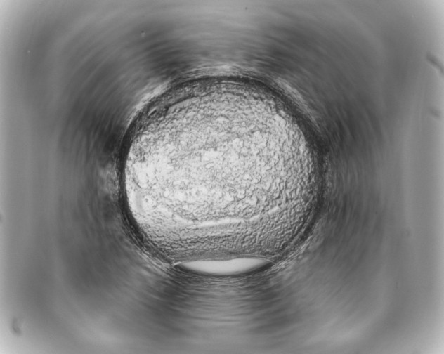 X0000095511218200712281430