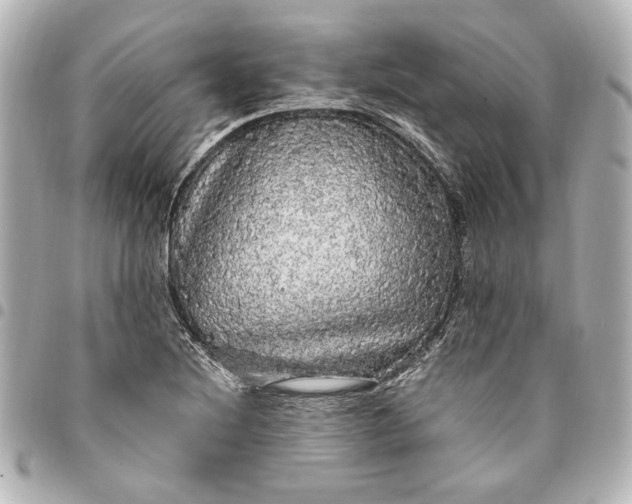 X0000095511220200712281430