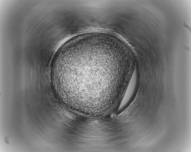 X0000095511222200712281430