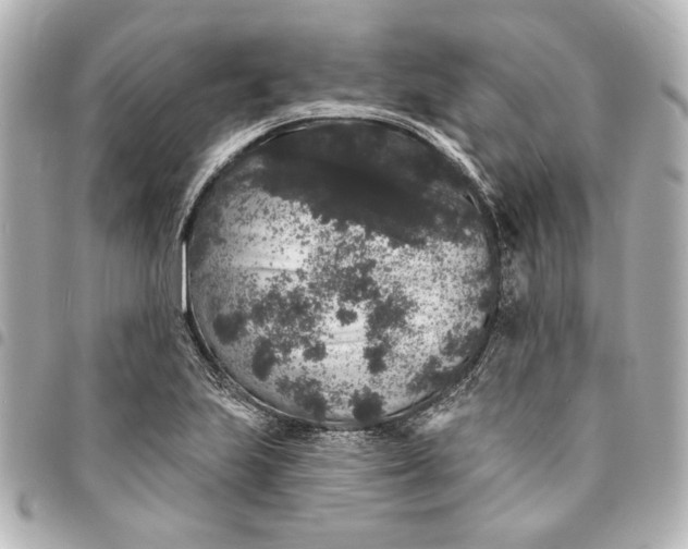 X0000095511223200712281430