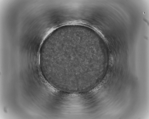 X0000095511224200712281430