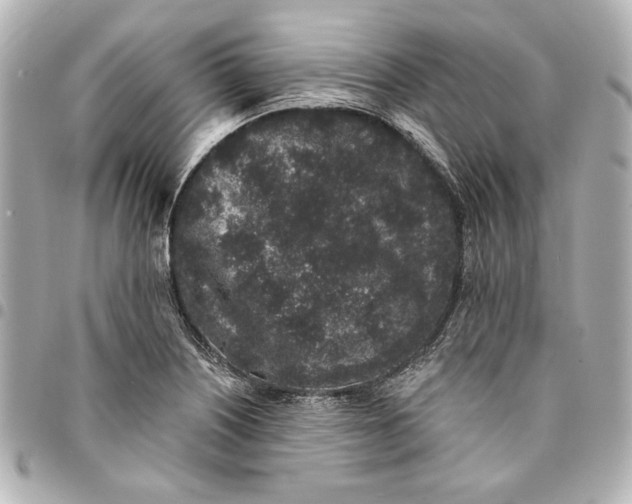 X0000095511226200712281430