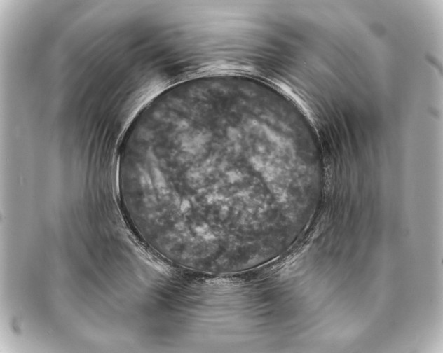 X0000095511227200712281430