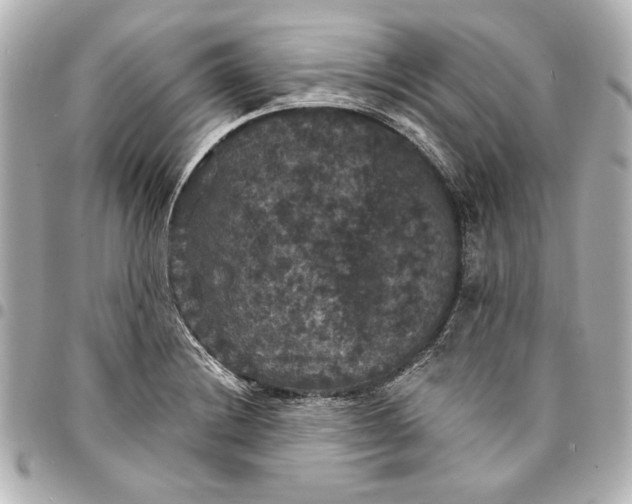 X0000095511228200712281430