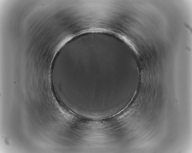 X0000095511229200712281430