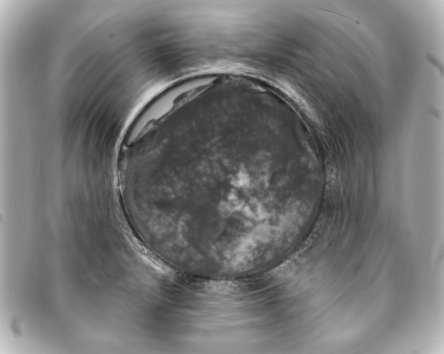 X0000095511232200712281430