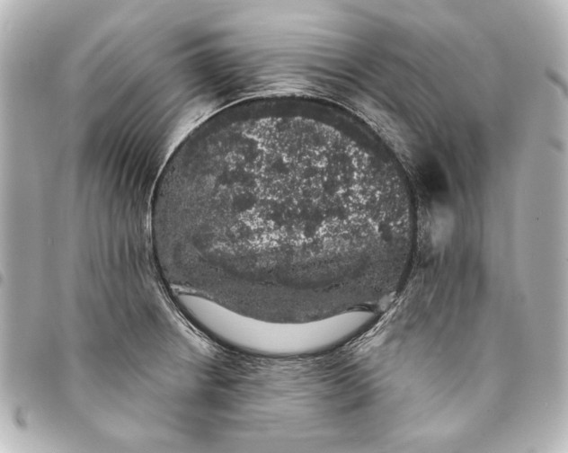 X0000095511234200712281430