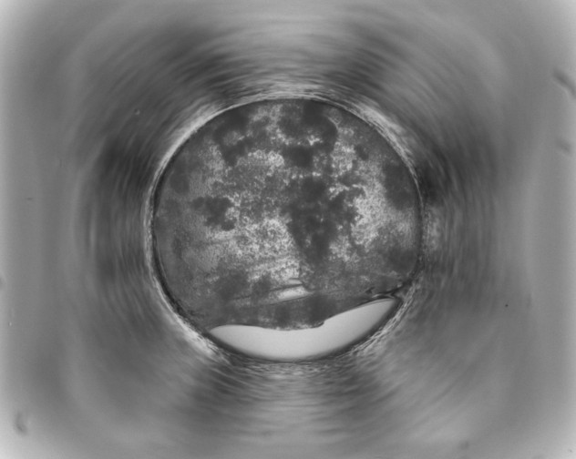 X0000095511235200712281431