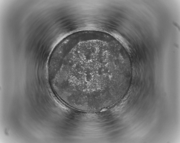 X0000095511238200712281431