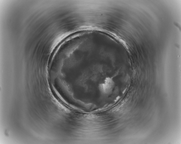 X0000095511239200712281431