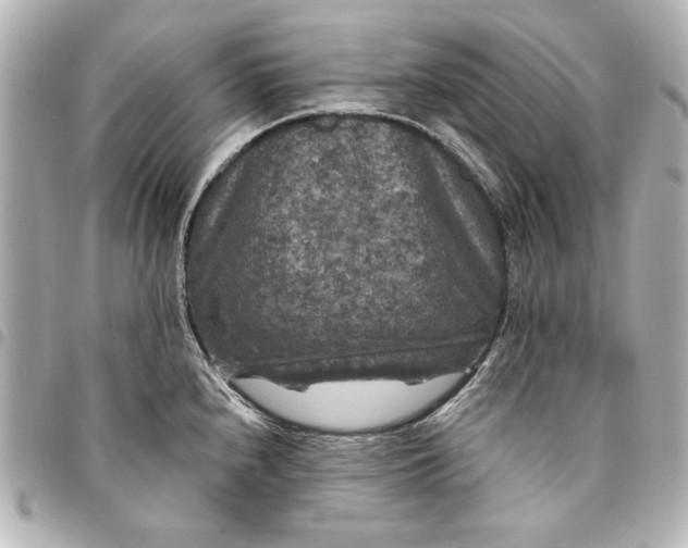 X0000095511240200712281431