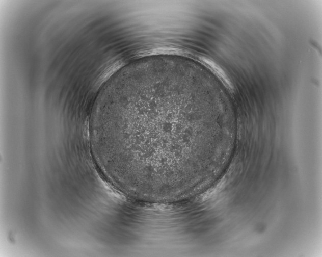 X0000095511241200712281431