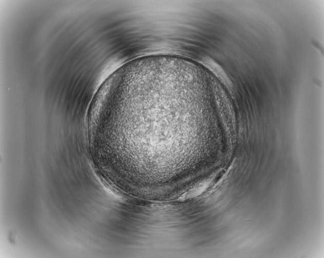 X0000095511242200712281431