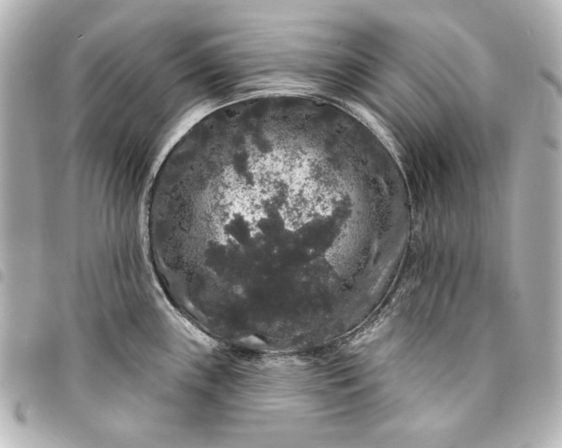 X0000095511243200712281431