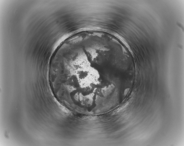 X0000095511245200712281431