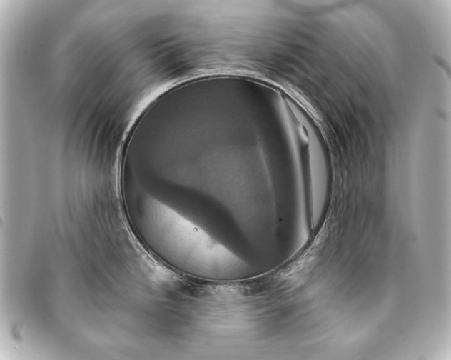 X0000095511246200712281431
