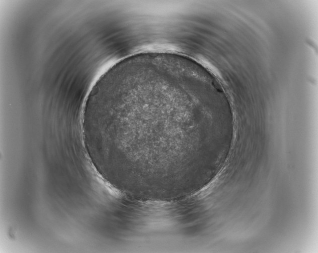 X0000095511248200712281431