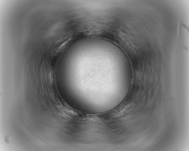 X0000095511250200712281430