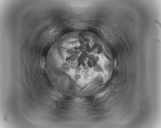 X0000095511251200712281430