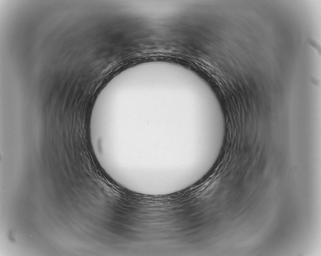 X0000095511252200712281430