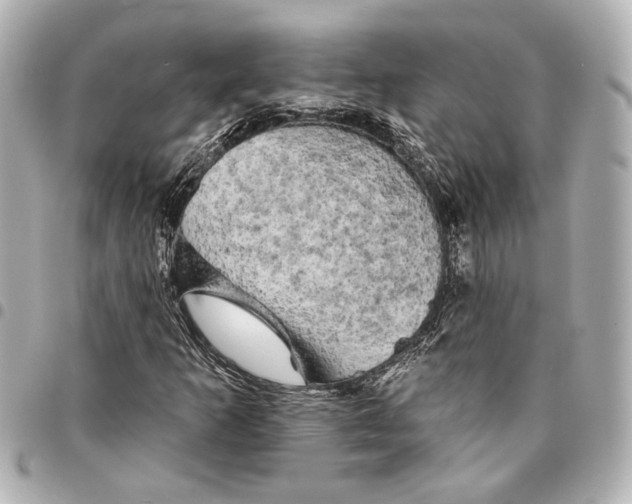 X0000095511253200712281430